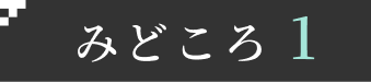 みどころ1