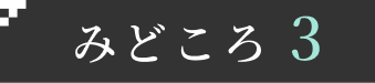 みどころ3